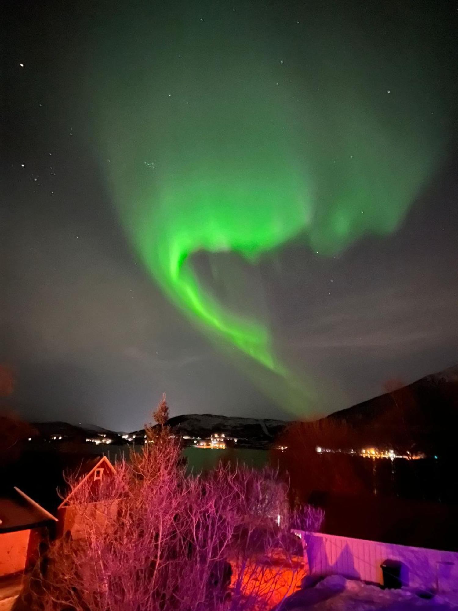 فندق Evenes Artic Glamping Evenesmarkja المظهر الخارجي الصورة